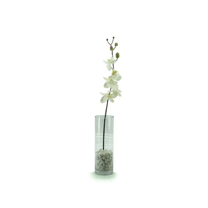 Glass Cylinder Vase 10Diax30Hcm - Clear (02-CYL30X10)