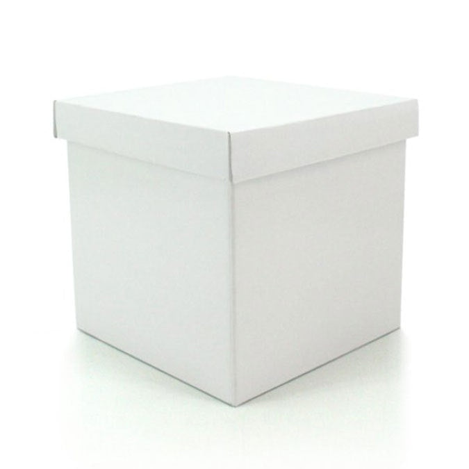 Cube Gift Box w/Lid 24Sqx24Hcm Pk/10 - White