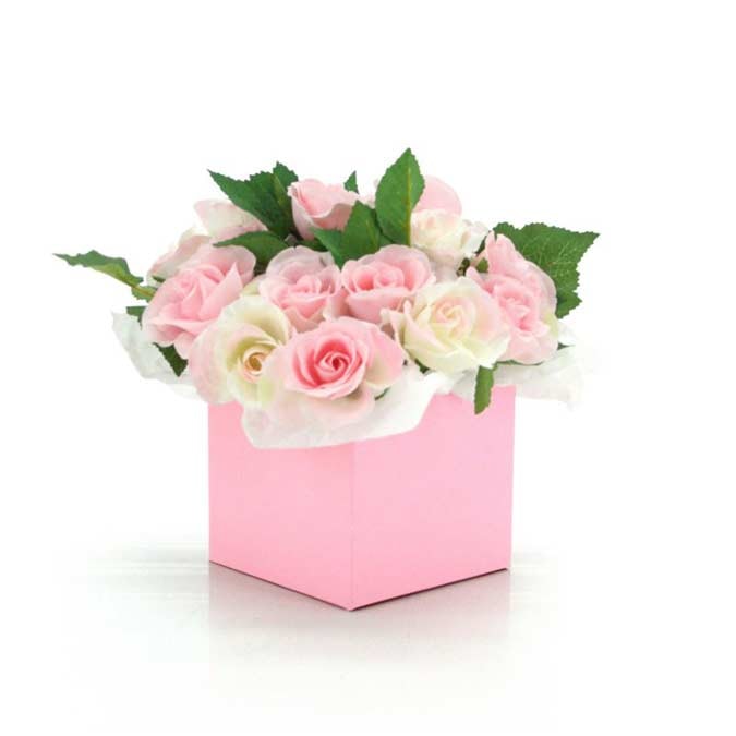 Solid Colour Posy Box 13Sqx12Hcm Pk/10 - Light Pink