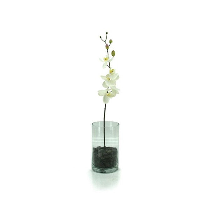 Glass Cylinder Vase 15Diax25Hcm - Clear (02-CYL25)