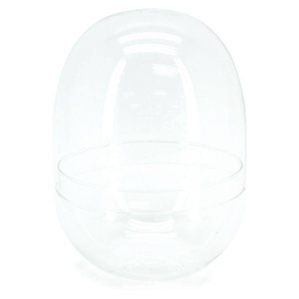 Glass Egg Shape “Imp” Terrarium 18Diax25Hcm - Clear