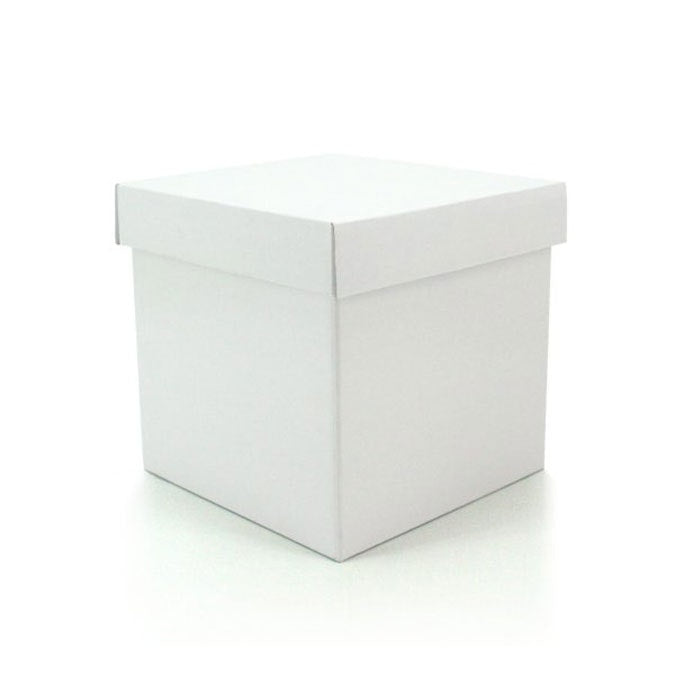 Cube Gift Box w/Lid 20Sqx20Hcm Pk/10 - White