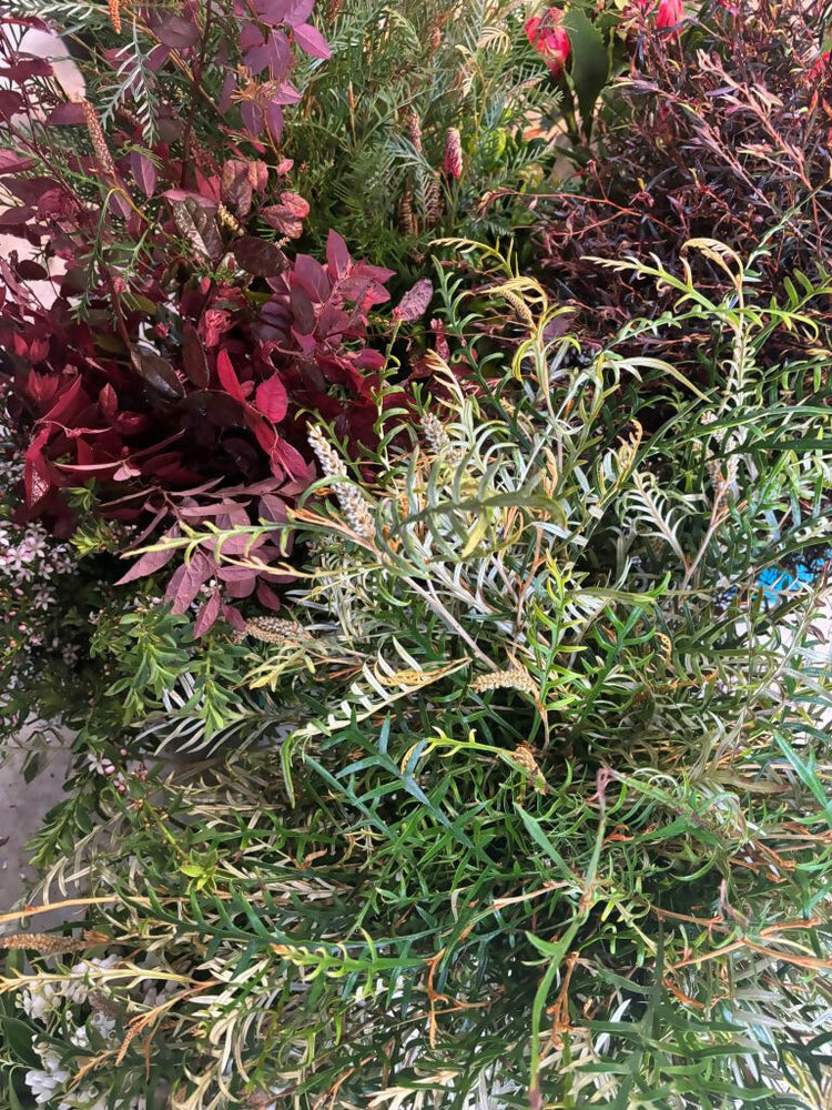 
                      
                        Foliage RESIZED
                      
                    