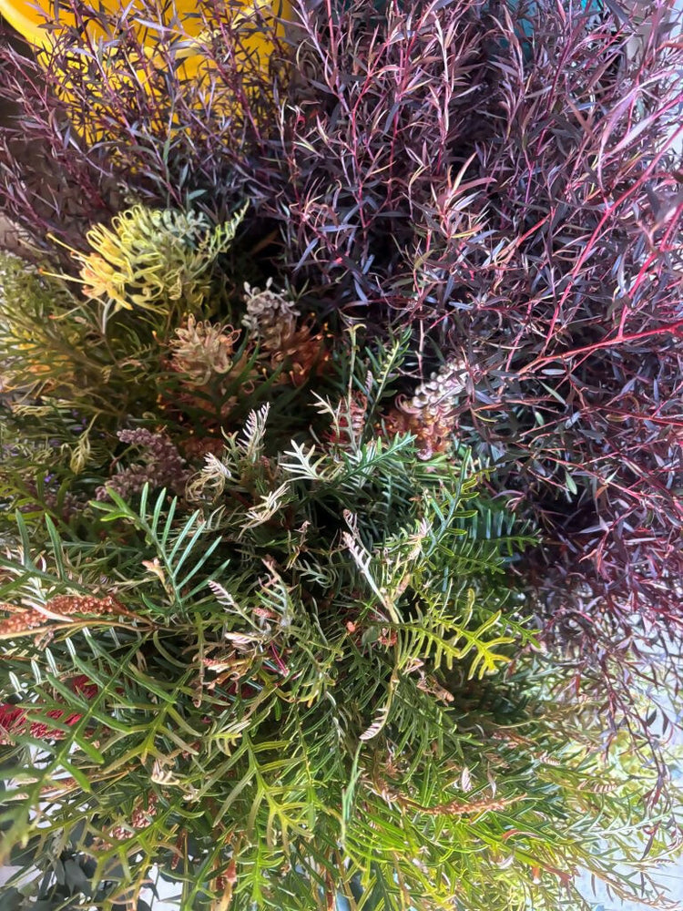 
                      
                        Foliage Picture Resized
                      
                    