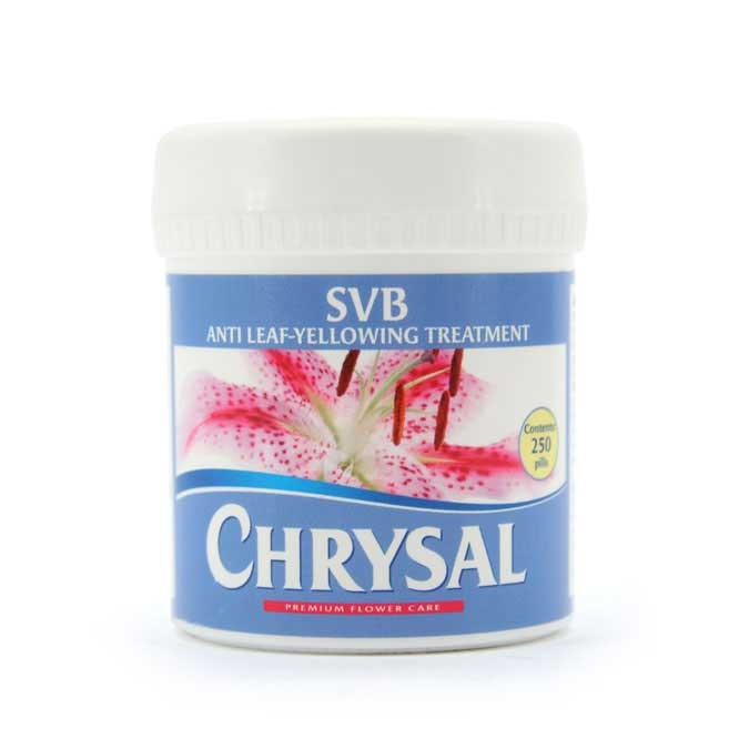 Chrysal SVB Tablets Jar/250 - Clear – 4Mooi