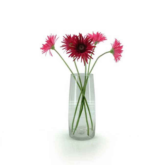 Glass Sturdy Vase 12TDx15BDx35Hcm - Clear (02-STURDY35)
