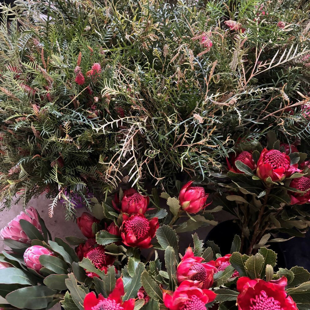 
                      
                        Large Mixed Foliage box 12 bunches* Growers choice
                      
                    