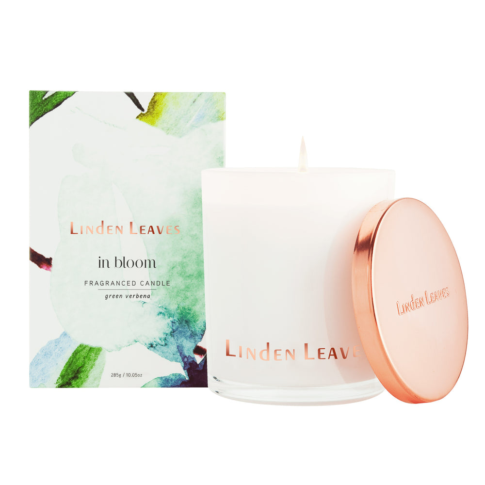 
                      
                        Linden Leaves Green Verbena Soy Candle
                      
                    