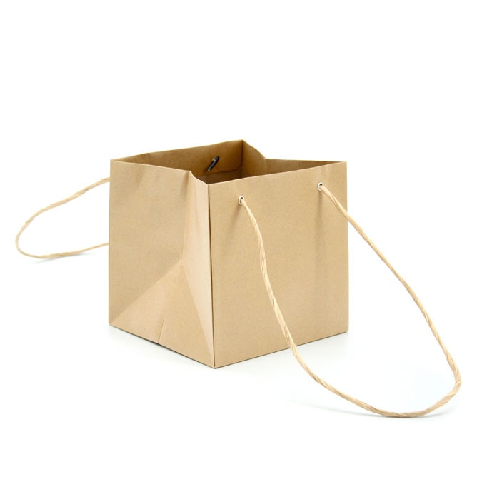 Kraft Plain Bag 15.5Sqx15.5Hcm Pk/10 - Natural