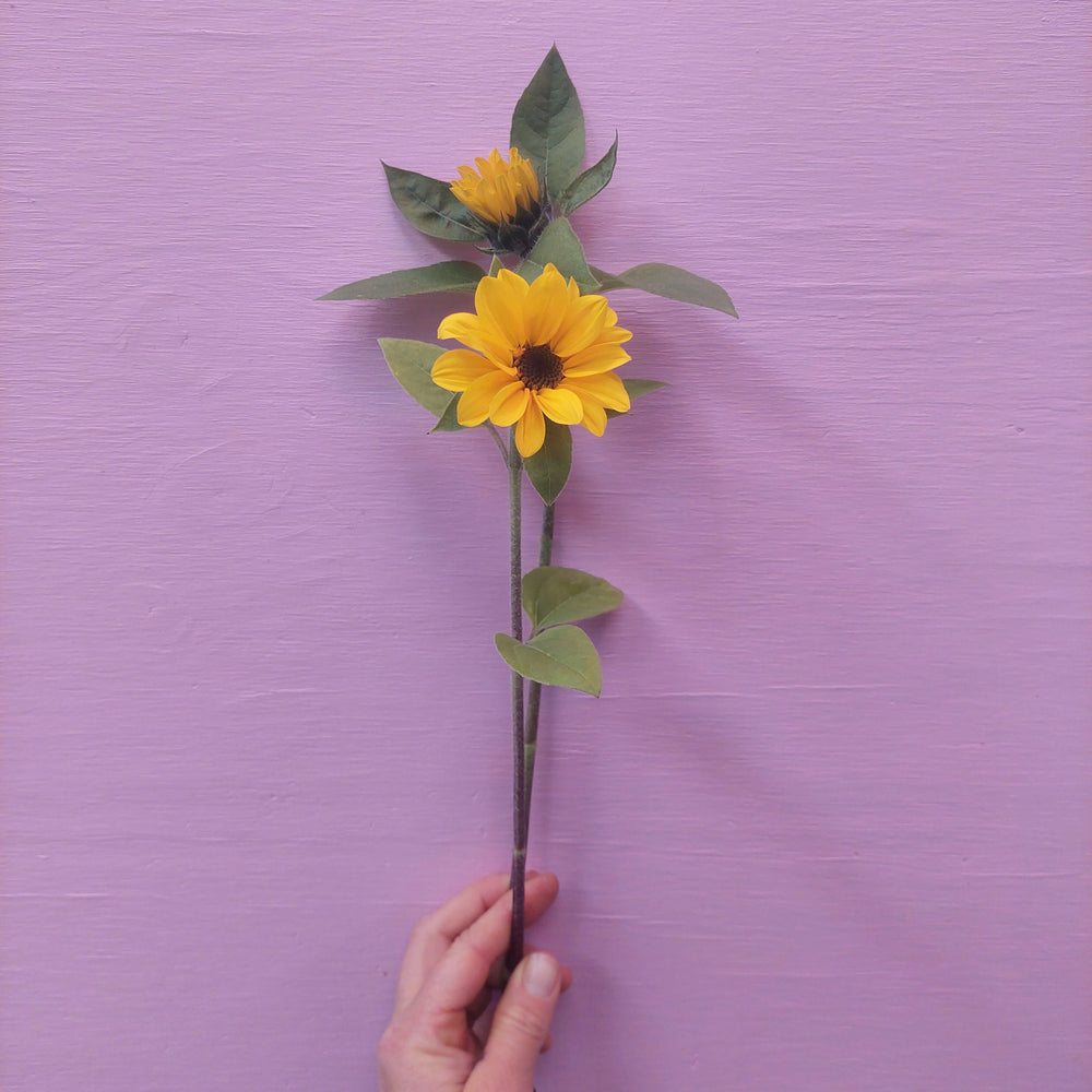 
                      
                        ****Sunflower fresh stems** Yellow*** thinner stems
                      
                    